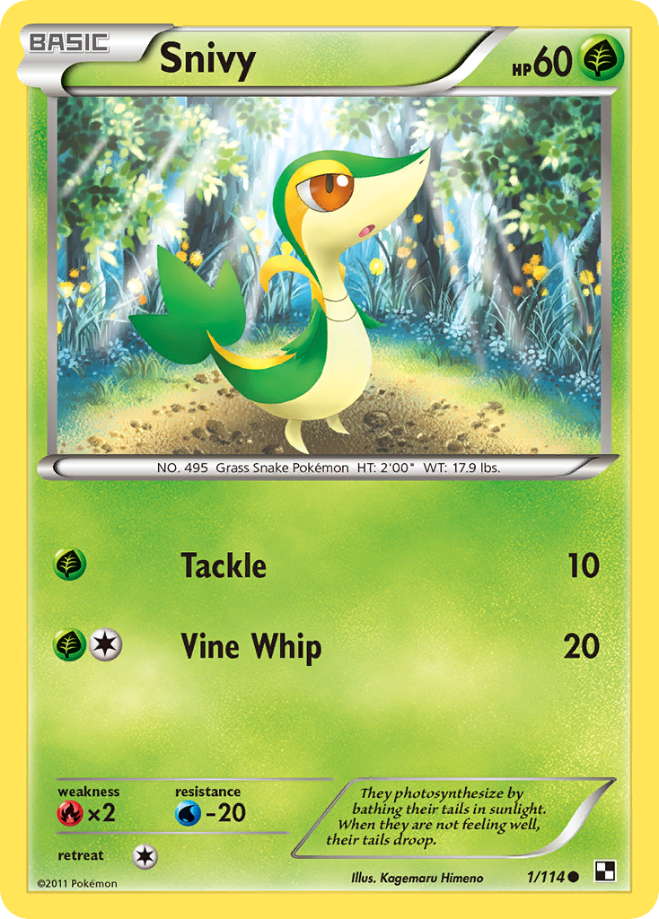 Snivy – Black & White