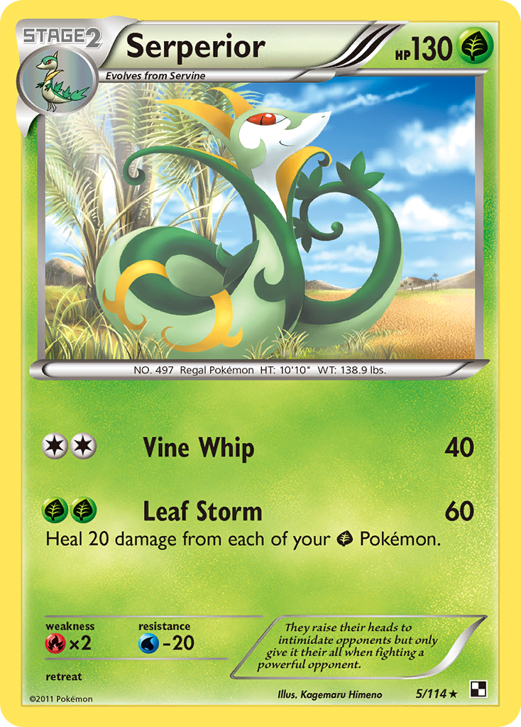 Serperior – Black & White
