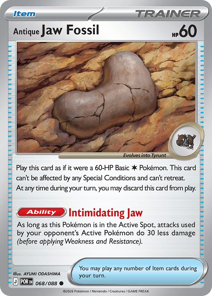 Antique Jaw Fossil – Perfect Order