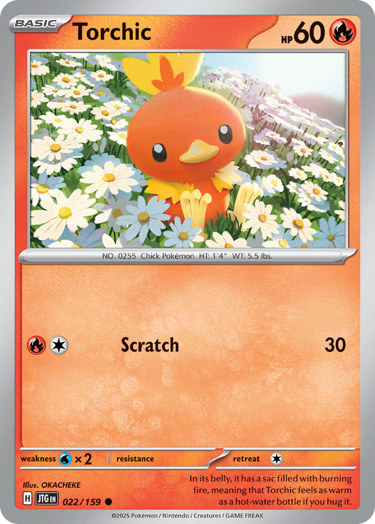 Torchic – Journey Together