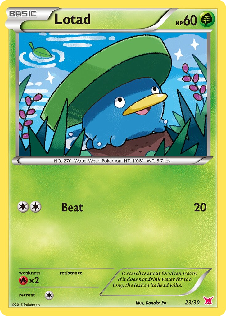 Lotad – XY Trainer Kit Latias