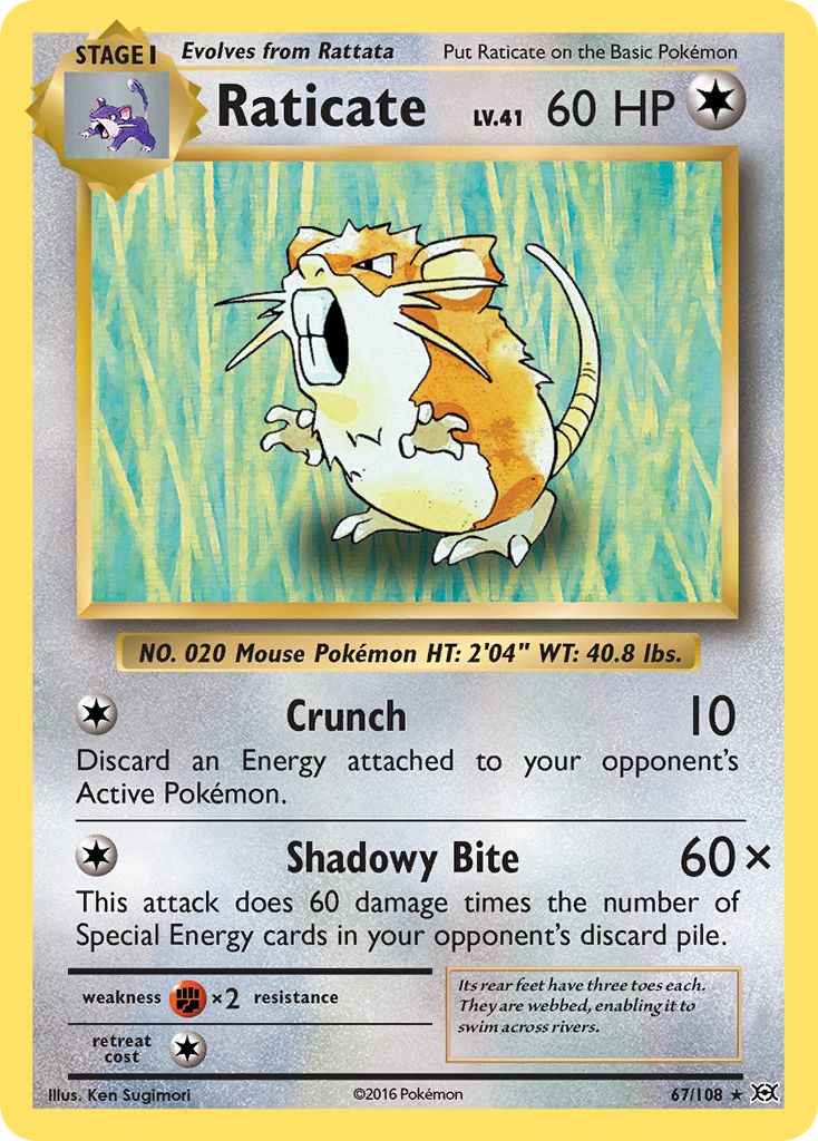 Raticate – Evolutions