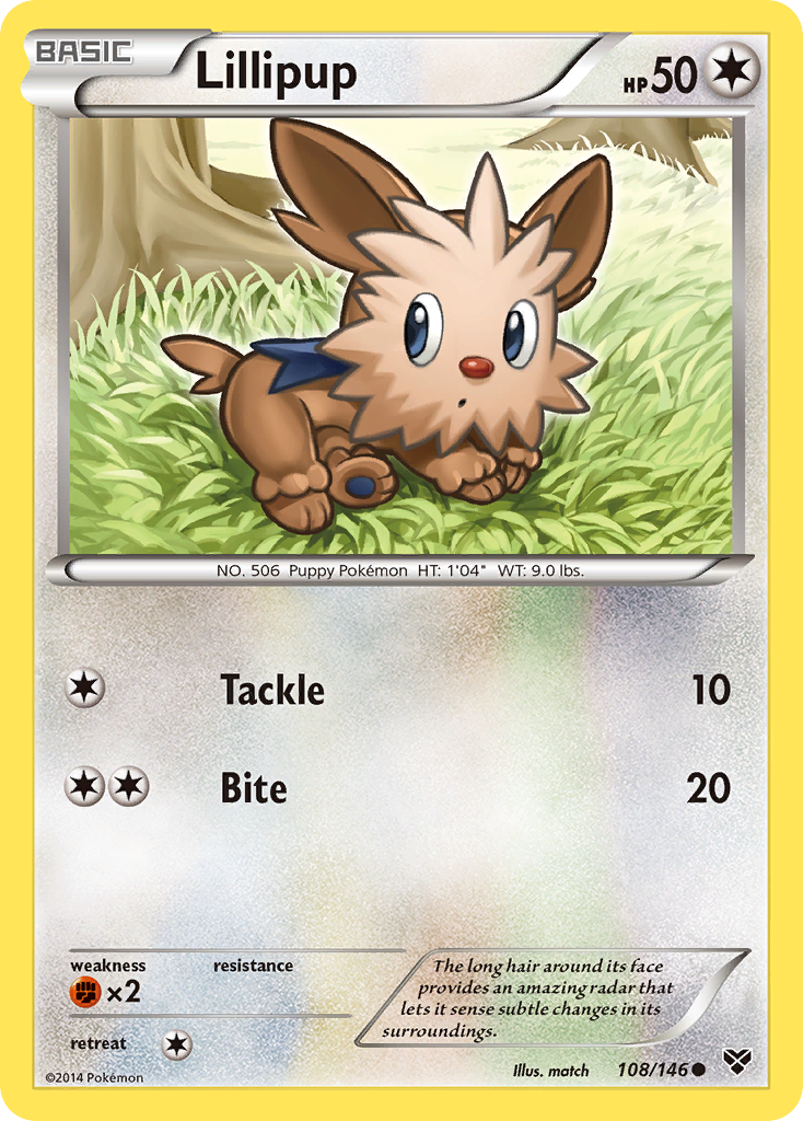 Lillipup – XY