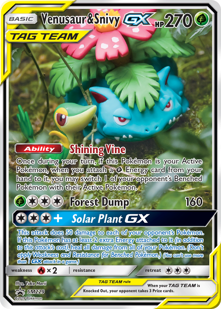 Venusaur & Snivy-GX – SM Black Star Promos
