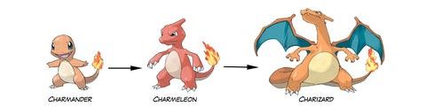 Pokemon Evolution Sets