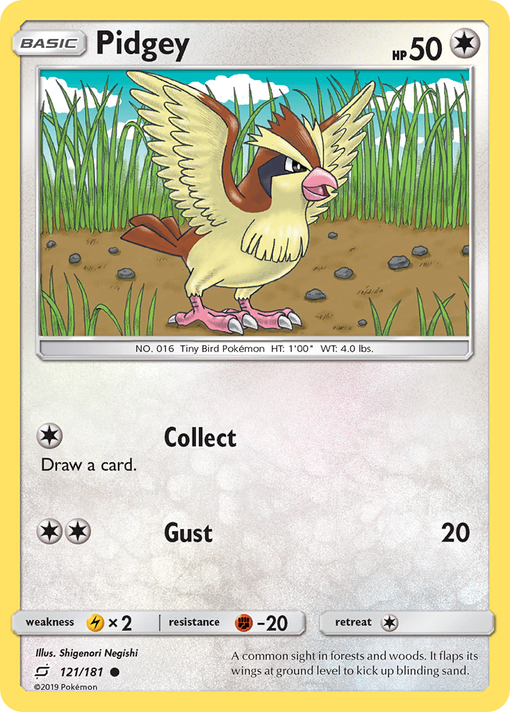 Pidgey – Team Up