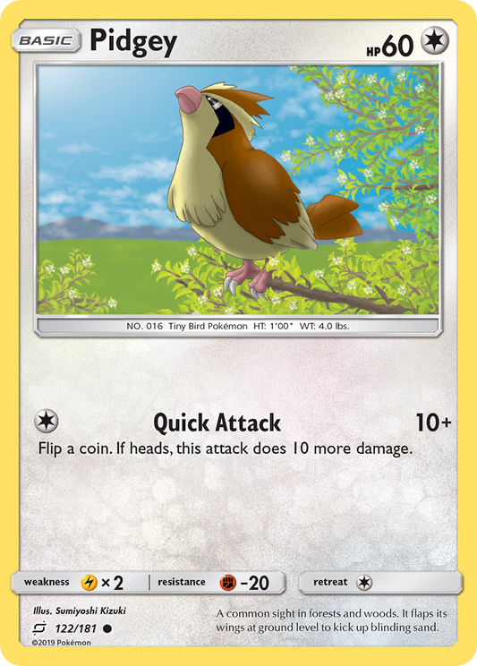 Pidgey – Team Up