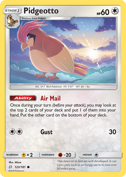 Pidgeotto – Team Up