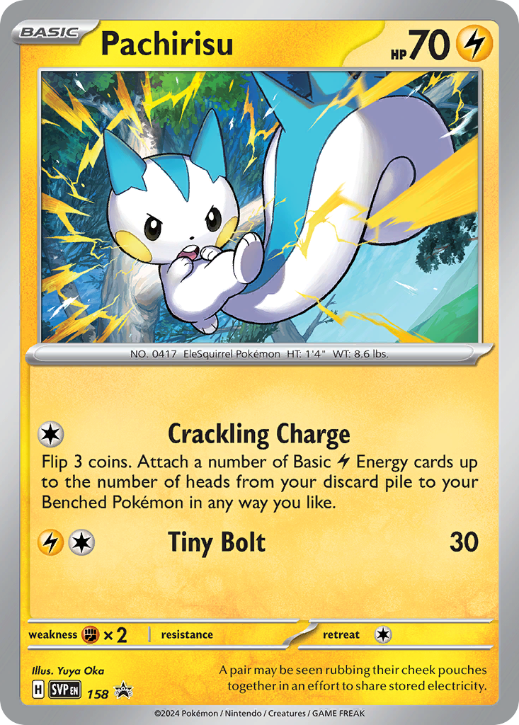 Pachirisu – Scarlet & Violet Black Star Promos