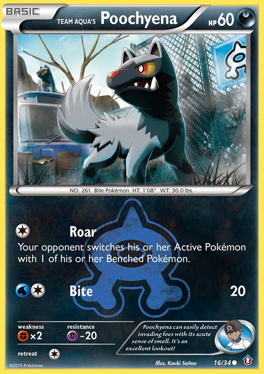 Team Aqua's Poochyena – Double Crisis