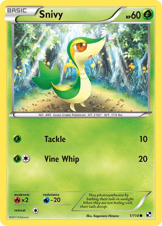 Snivy – Black & White