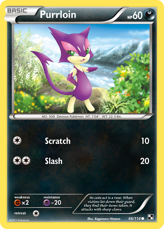 Purrloin – Black & White