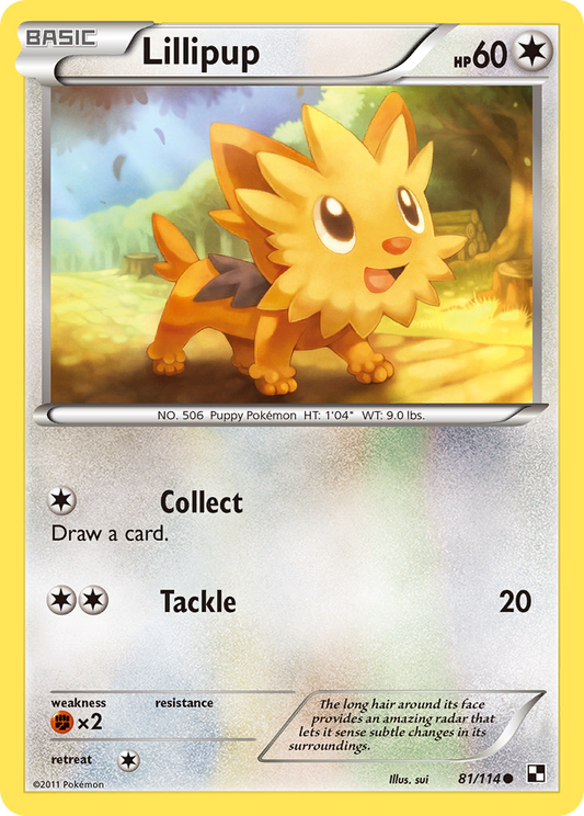 Lillipup – Black & White