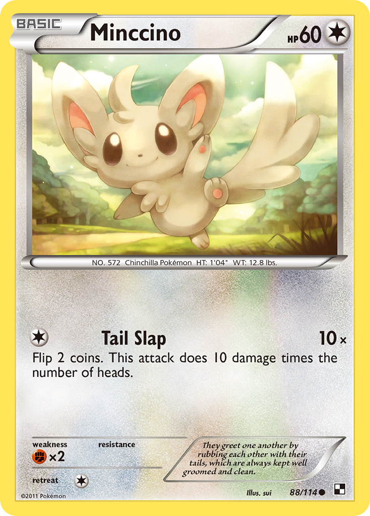 Minccino – Black & White