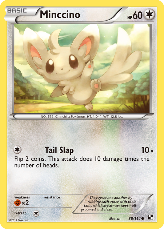 Minccino – Black & White