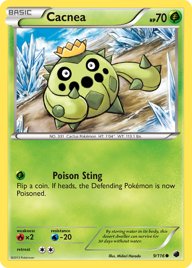 Cacnea – Plasma Freeze