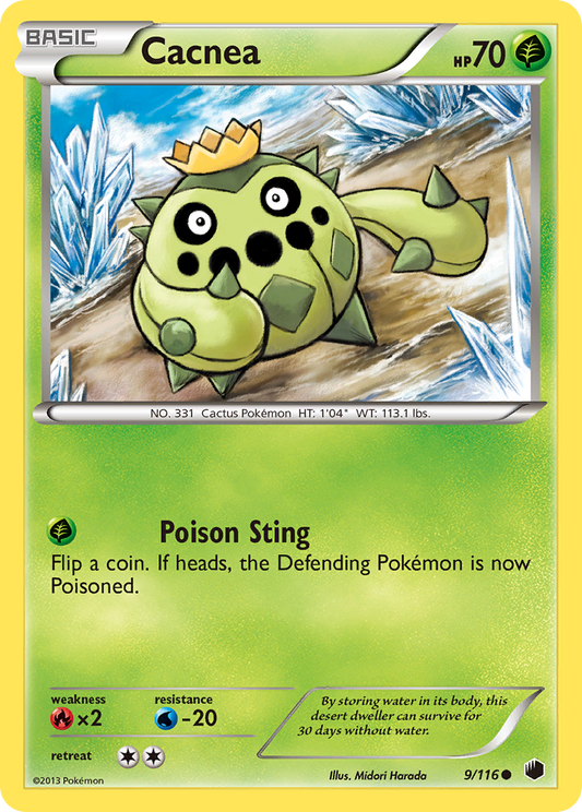 Cacnea – Plasma Freeze