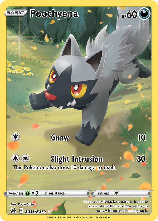 Poochyena – Crown Zenith Galarian Gallery