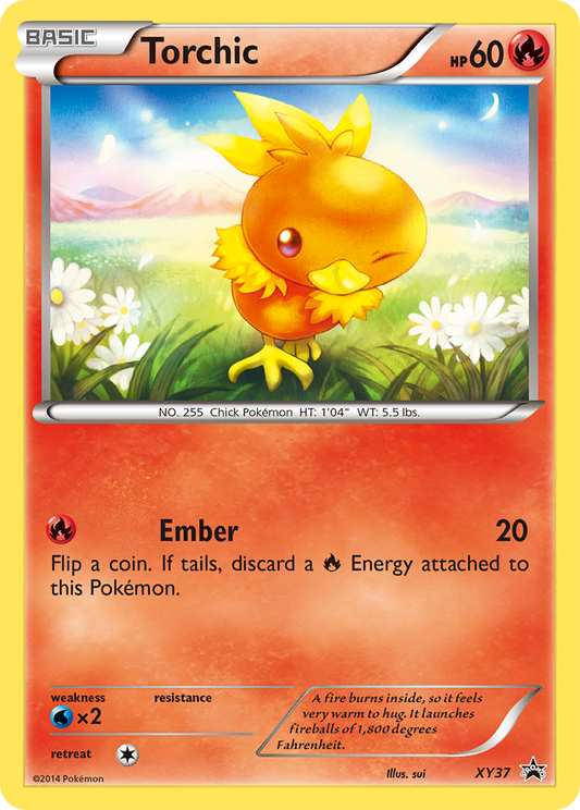 Torchic – XY Black Star Promos