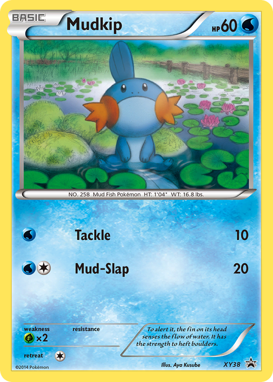 Mudkip – XY Black Star Promos