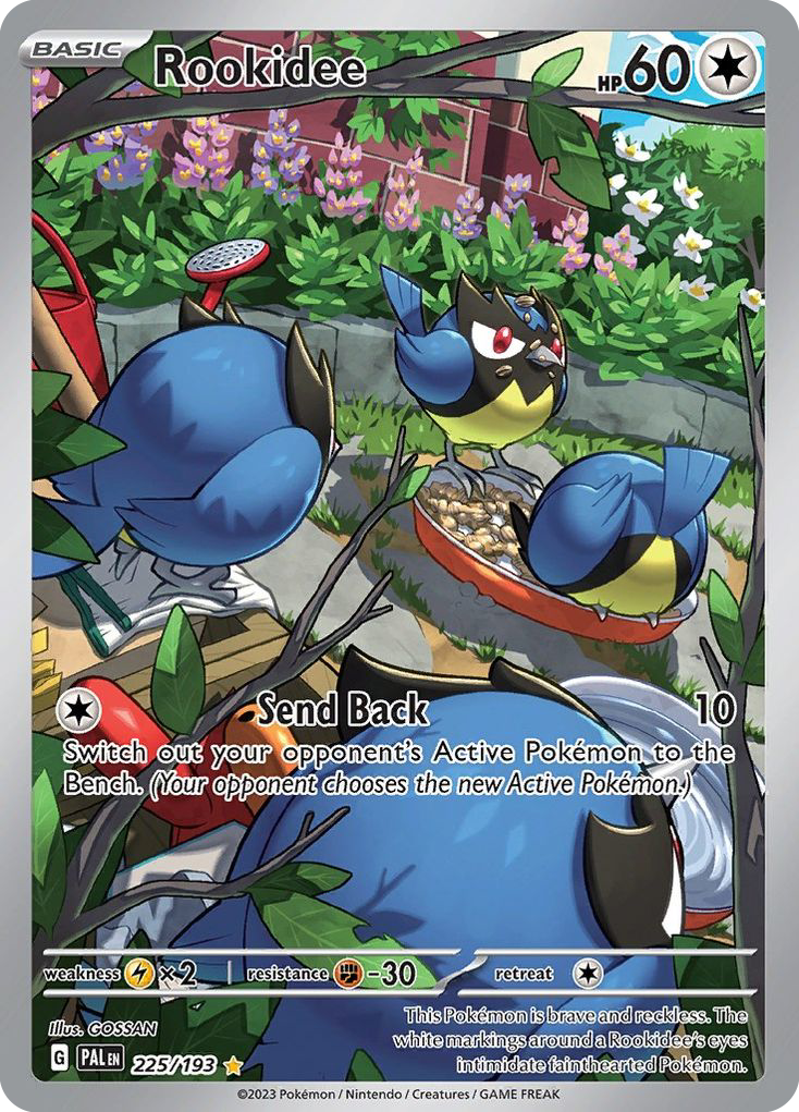 Rookidee – Paldea Evolved