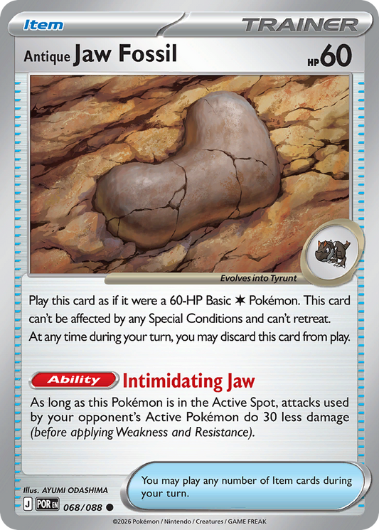 Antique Jaw Fossil – Perfect Order