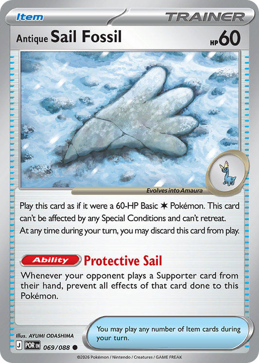 Antique Sail Fossil – Perfect Order