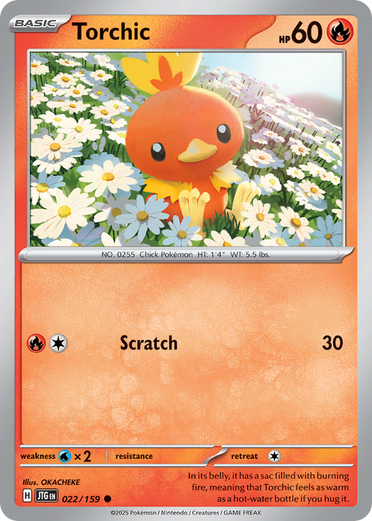 Torchic – Journey Together