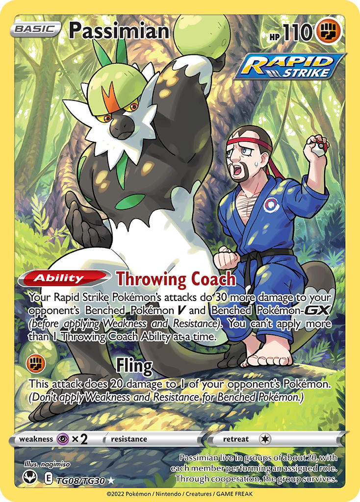 Passimian – Silver Tempest Trainer Gallery