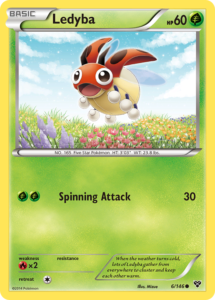Ledyba – XY