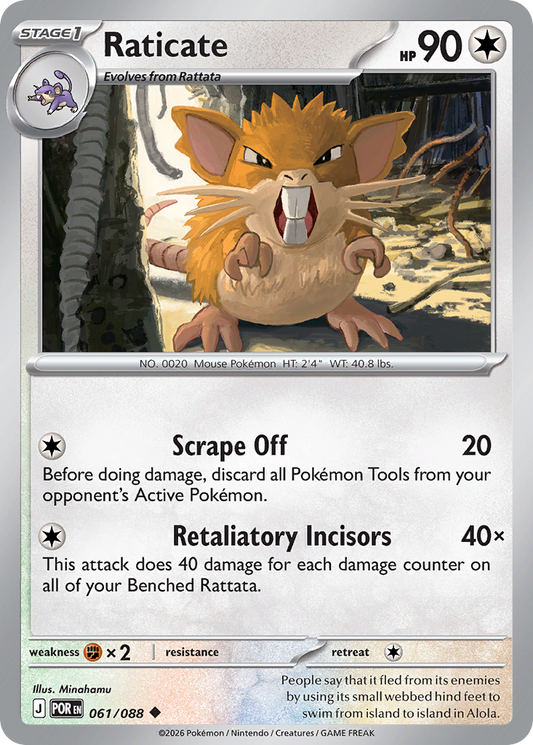 Raticate – Perfect Order