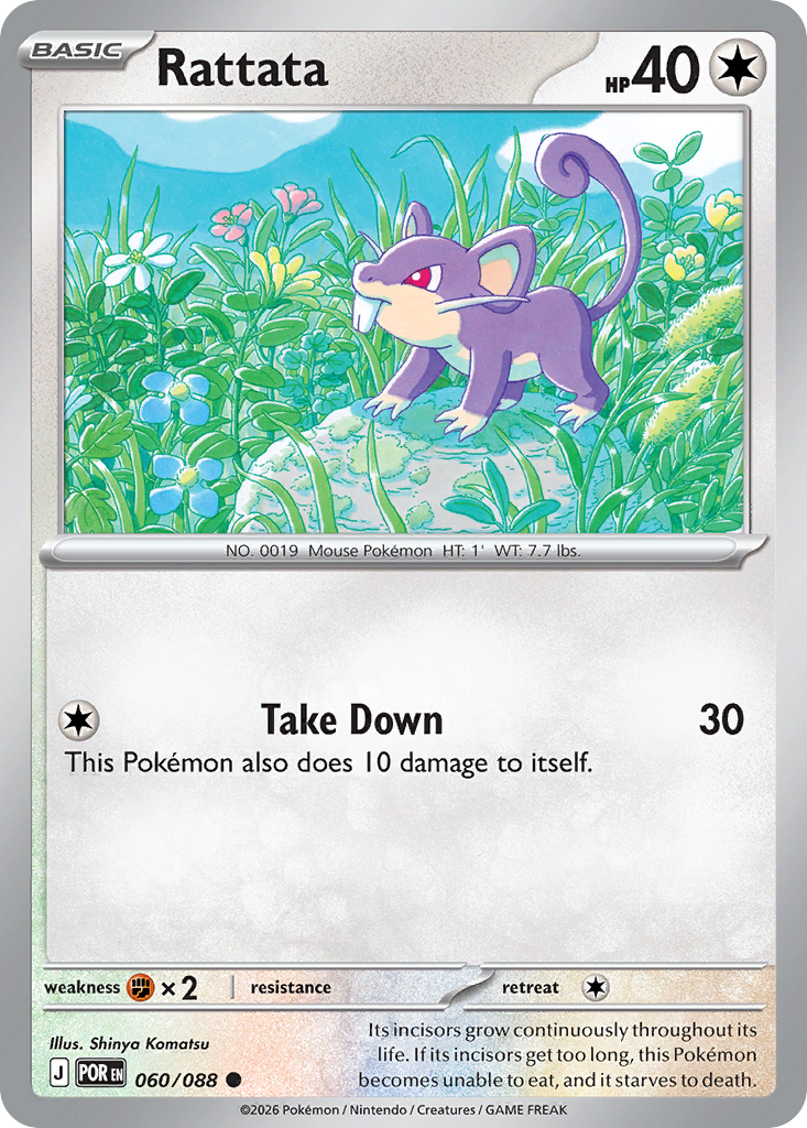 Rattata – Perfect Order
