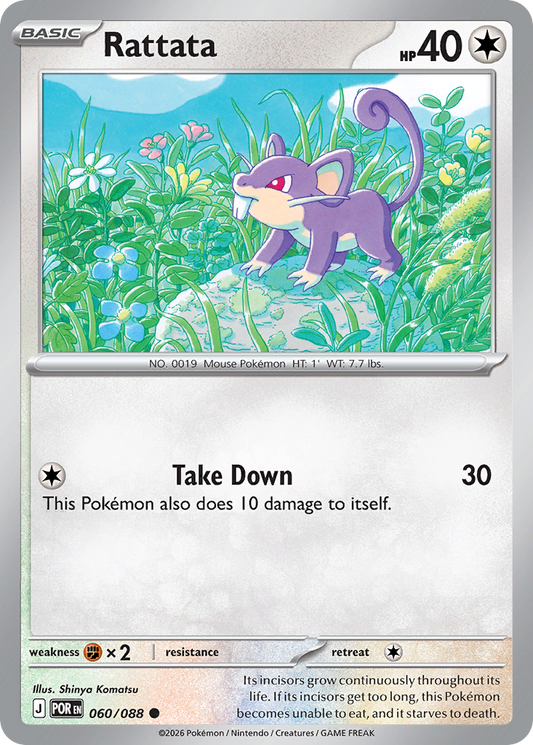 Rattata – Perfect Order