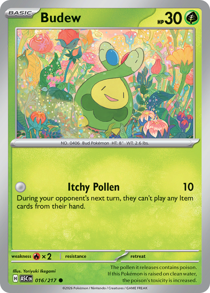 Budew – Ascended Heroes