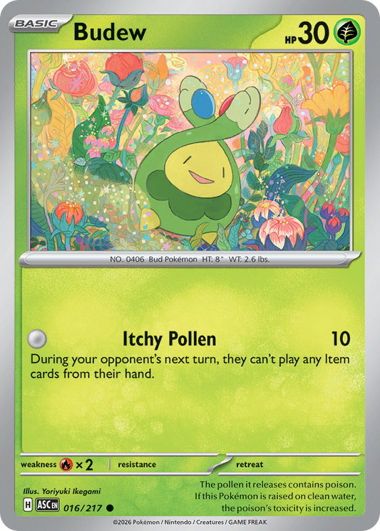 Budew – Ascended Heroes