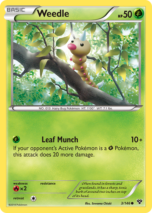 Weedle – XY