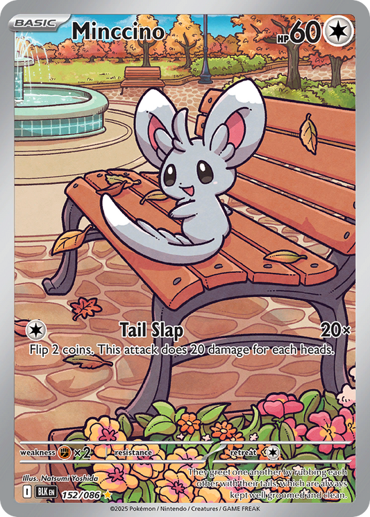 Minccino – Black Bolt