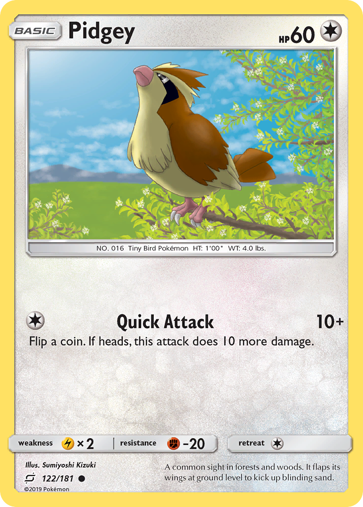 Pidgey – Team Up