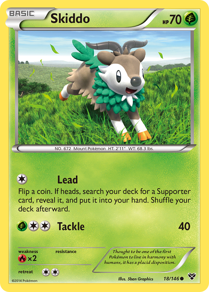 Skiddo – XY