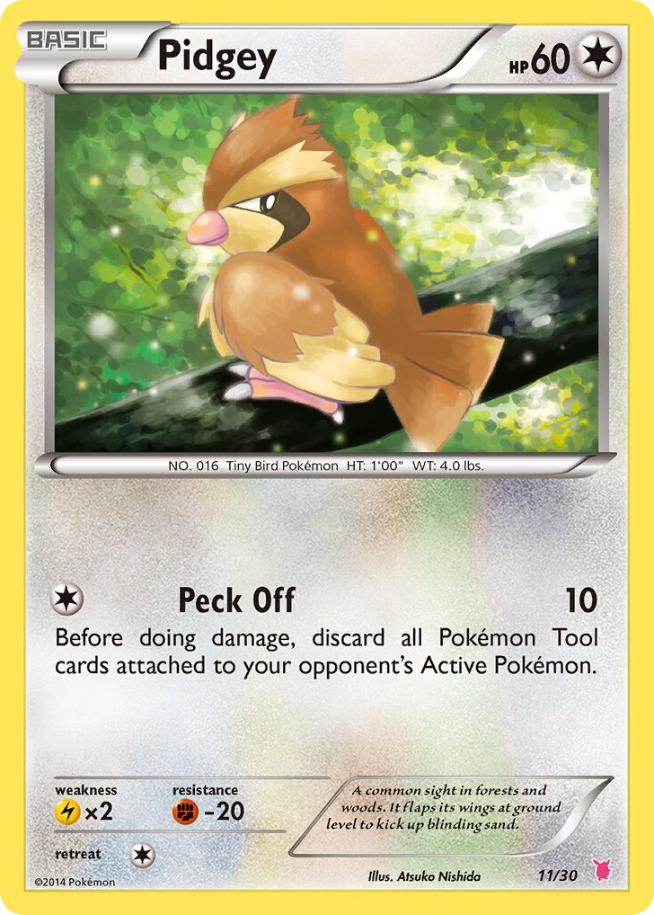 Pidgey – XY Trainer Kit Wigglytuff