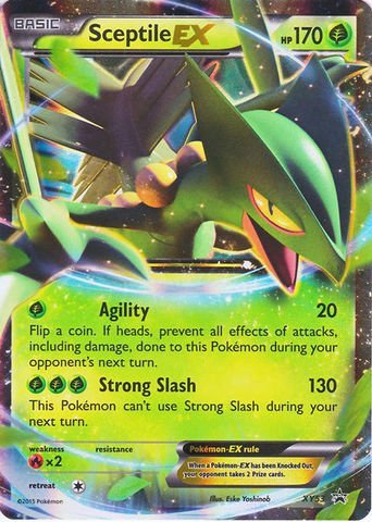 Pokemon - Sceptile-EX (XY53) - XY Black Star Promos - Holo